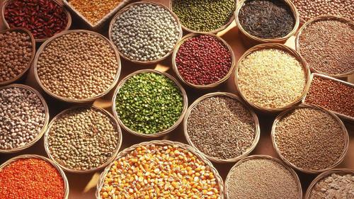 food-grains-782