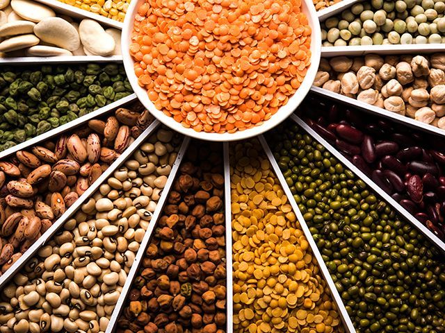 pulses-and-lentils