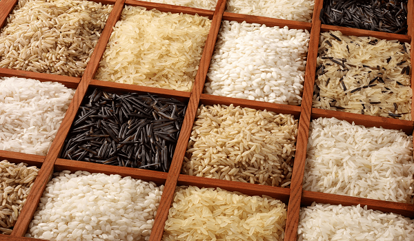 rice-v